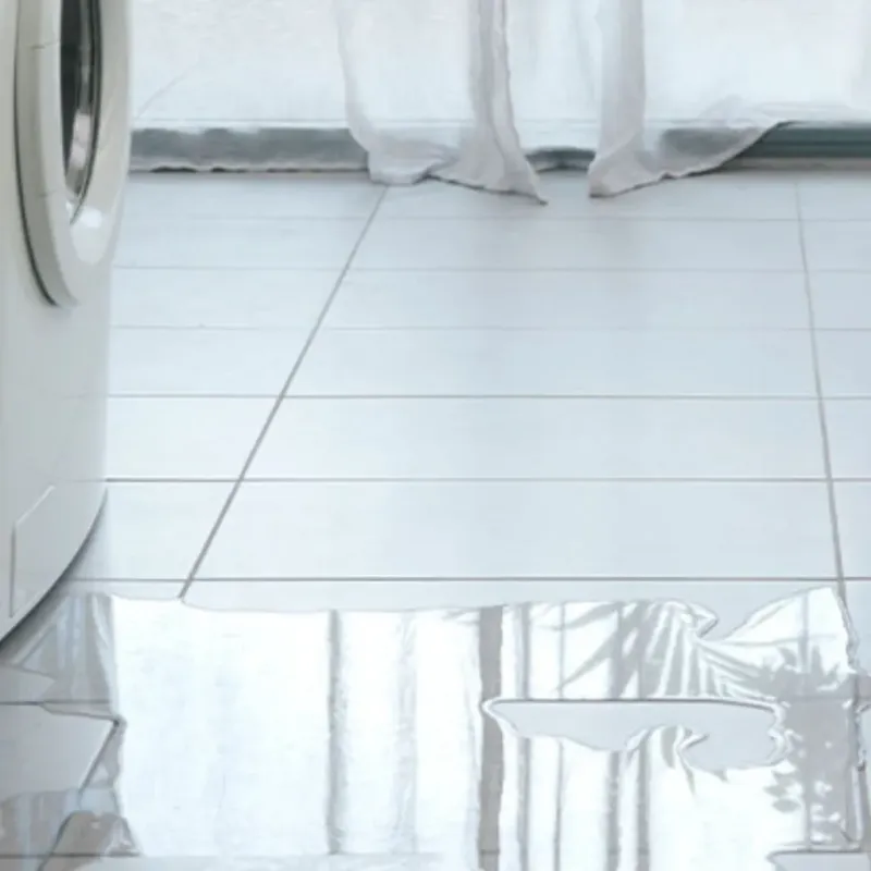 Appliance Leak Cleanup in Webster County, WV