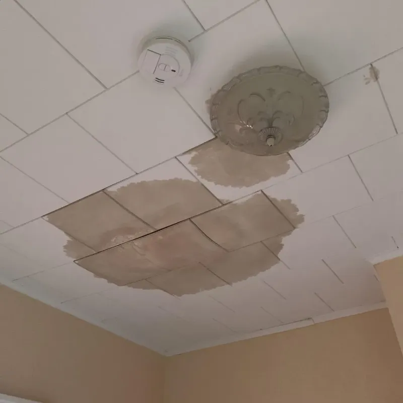 Ceiling Water Damage Repair in Webster County, WV