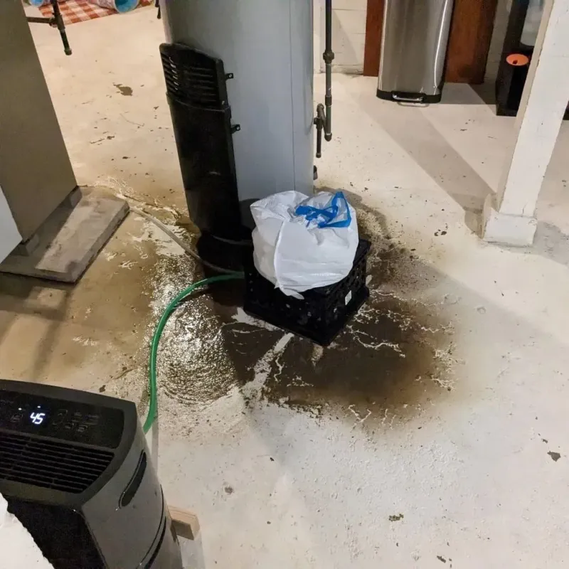 Sewage Backup Cleanup Service in Webster County, WV